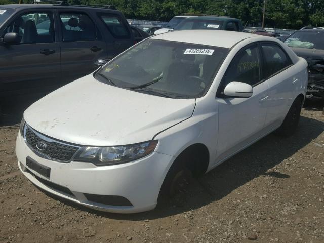 KNAFU4A25C5634608 - 2012 KIA FORTE EX WHITE photo 2