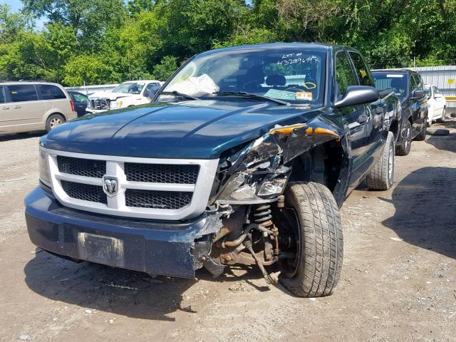 1D7RW3GK5BS625604 - 2011 DODGE DAKOTA SLT GREEN photo 2