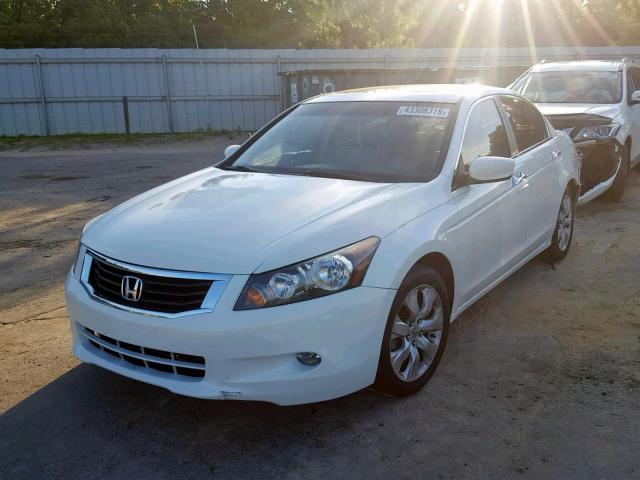 1HGCP36899A042182 - 2009 HONDA ACCORD EXL WHITE photo 2