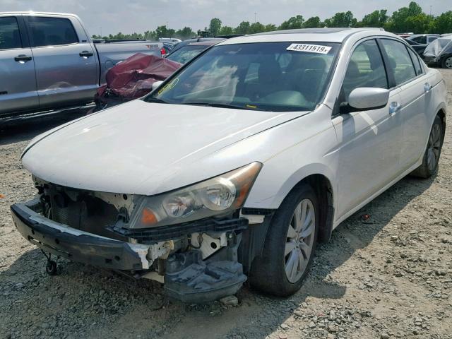 5KBCP3F81BB002160 - 2011 HONDA ACCORD EXL WHITE photo 2