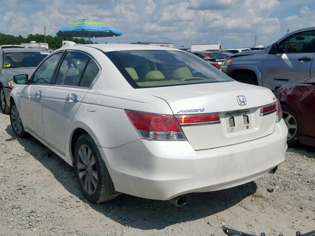 5KBCP3F81BB002160 - 2011 HONDA ACCORD EXL WHITE photo 3