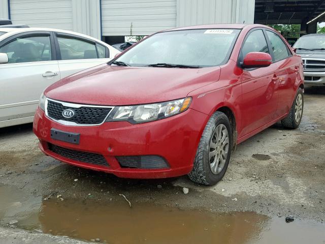 KNAFU4A20D5721902 - 2013 KIA FORTE EX RED photo 2