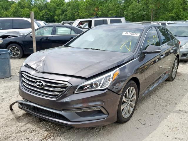 5NPE34AF4GH425287 - 2016 HYUNDAI SONATA SPO BROWN photo 2