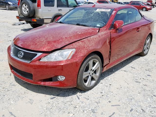 JTHFF2C28C2524103 - 2012 LEXUS IS 250 RED photo 2