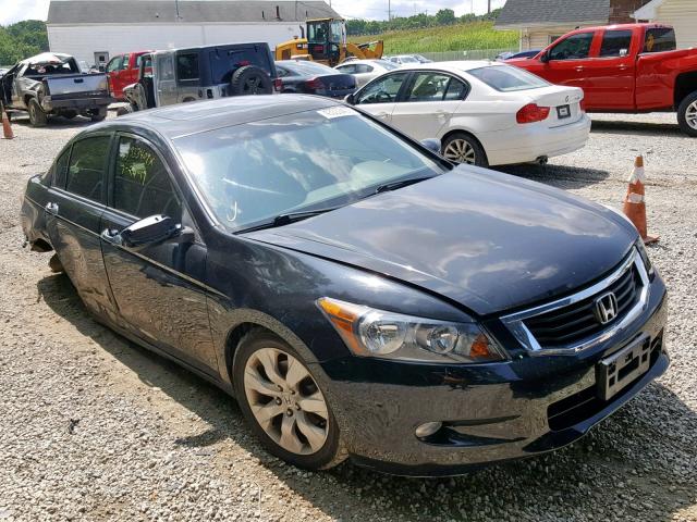 5KBCP36809B001446 - 2009 HONDA ACCORD EXL BLACK photo 1