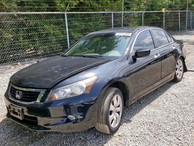 5KBCP36809B001446 - 2009 HONDA ACCORD EXL BLACK photo 2