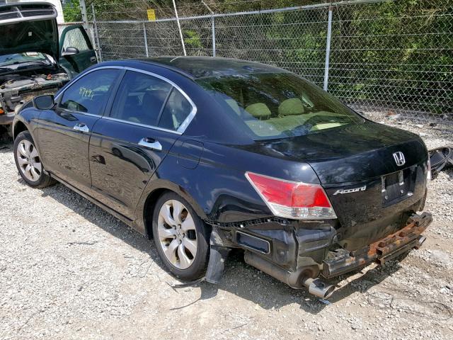 5KBCP36809B001446 - 2009 HONDA ACCORD EXL BLACK photo 3