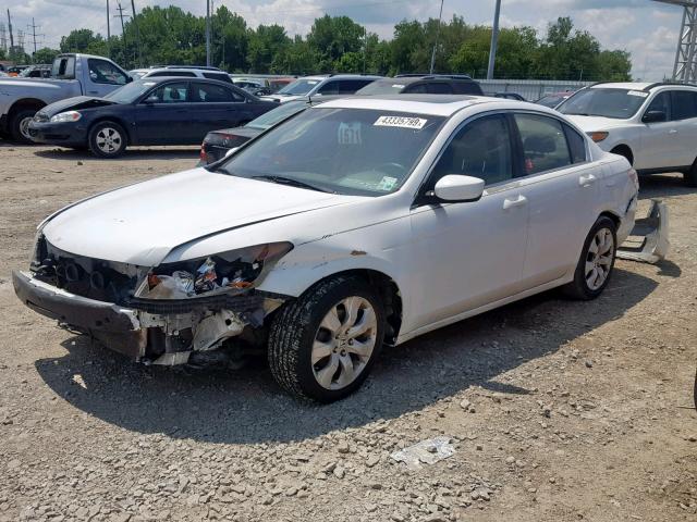 1HGCP26838A157837 - 2008 HONDA ACCORD EXL WHITE photo 2