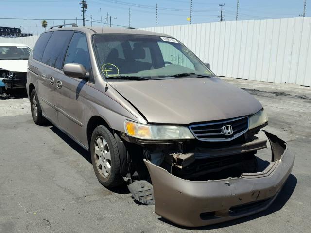 5FNRL18693B024588 - 2003 HONDA ODYSSEY EX BEIGE photo 1