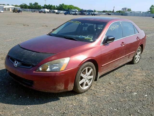 1HGCM66583A074354 - 2003 HONDA ACCORD BURGUNDY photo 2