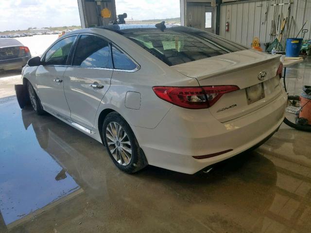 5NPE34AF6FH245937 - 2015 HYUNDAI SONATA SPO WHITE photo 3