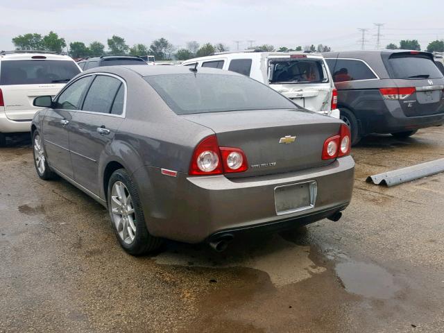1G1ZE5E75AF119584 - 2010 CHEVROLET MALIBU LTZ ყავისფერი ფოტო 3