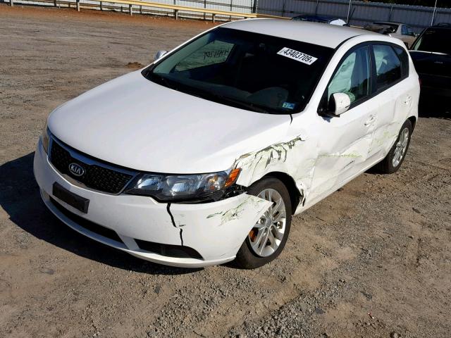 KNAFU5A23C5586919 - 2012 KIA FORTE EX WHITE photo 2