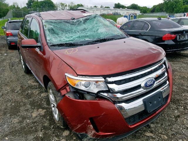 2FMDK4JCXEBA54483 - 2014 FORD EDGE SEL BURGUNDY photo 1