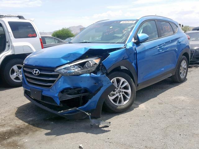 KM8J33A47GU142178 - 2016 HYUNDAI TUCSON LIM BLUE photo 2