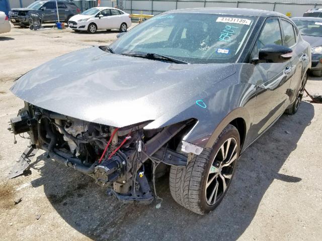 1N4AA6AP5HC444295 - 2017 NISSAN MAXIMA 3.5 GRAY photo 2