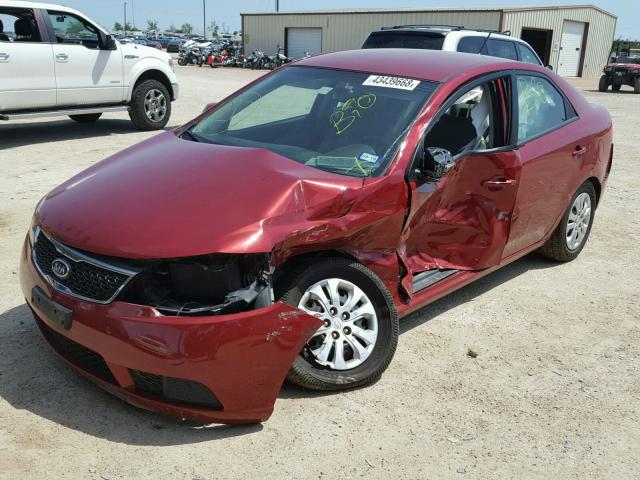 KNAFU4A26B5435243 - 2011 KIA FORTE EX RED photo 2