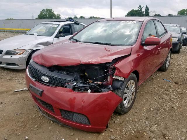 KNAFU4A22B5426295 - 2011 KIA FORTE EX RED photo 2