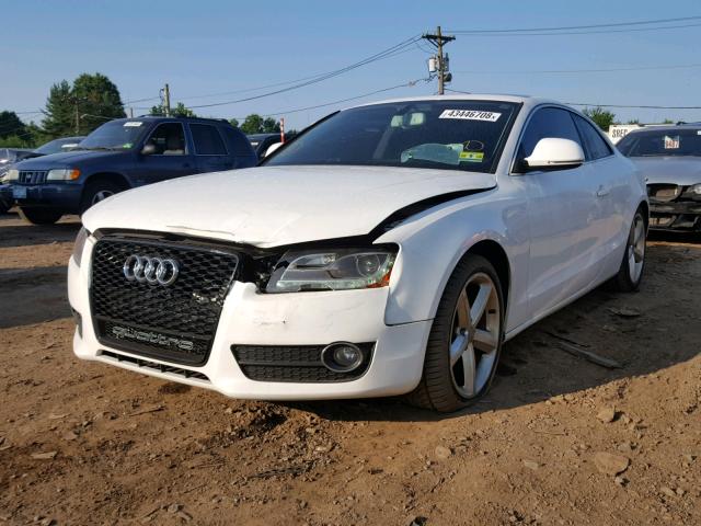 WAUDK78TX9A028198 - 2009 AUDI A5 QUATTRO WHITE photo 2