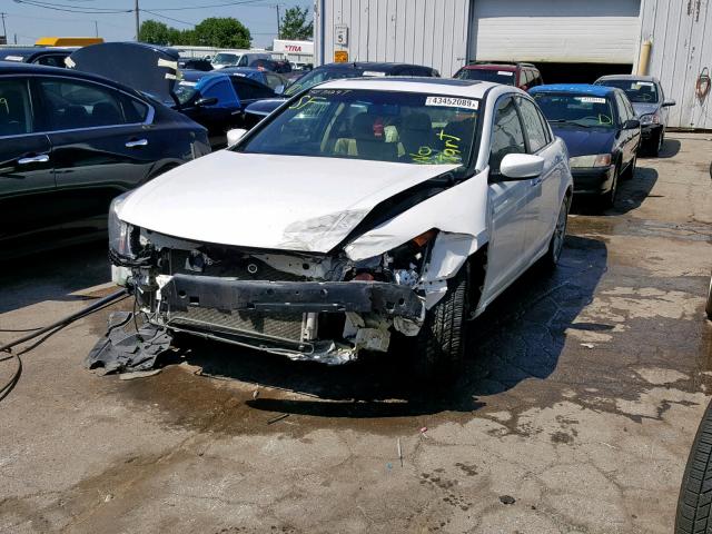 1HGCP3F87BA032241 - 2011 HONDA ACCORD EXL WHITE photo 2