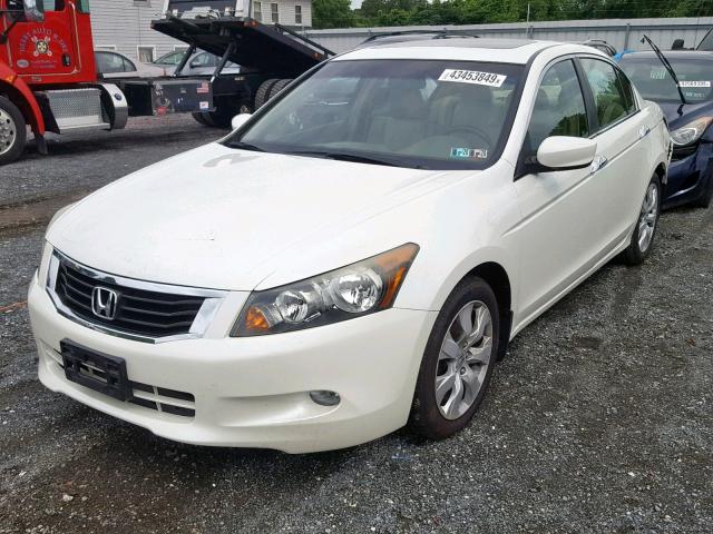 1HGCP36819A040913 - 2009 HONDA ACCORD EXL WHITE photo 2