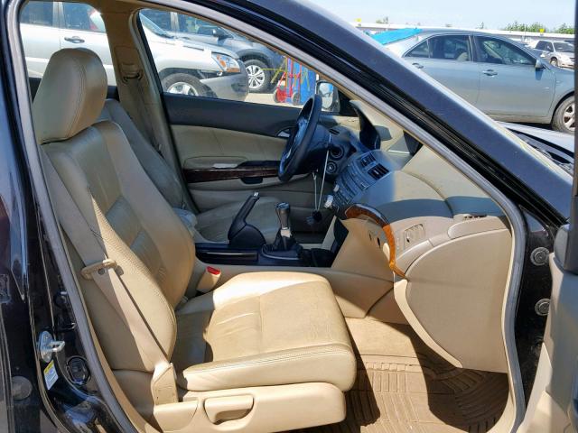 1HGCP25848A059286 - 2008 HONDA ACCORD EXL BLACK photo 5