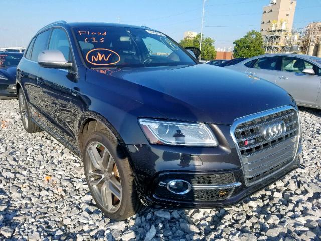 WA1CGAFP8EA069064 - 2014 AUDI SQ5 PREMIU BLACK photo 1