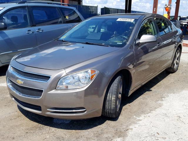 1G1ZC5EU6BF289661 - 2011 CHEVROLET MALIBU 1LT 米色 照片 2