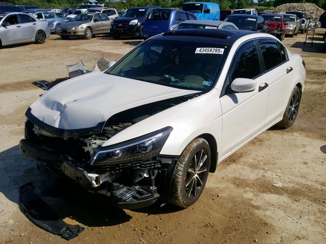 1HGCP368X8A025891 - 2008 HONDA ACCORD EXL WHITE photo 2