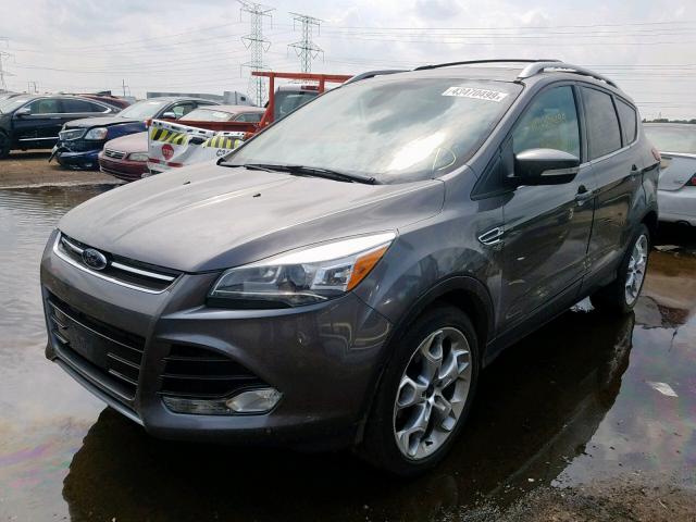 1FMCU9J98EUA35934 - 2014 FORD ESCAPE TIT GRAY photo 2