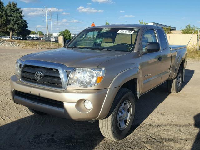 5TETU62N06Z249050 - 2006 TOYOTA TACOMA PRE GOLD photo 2