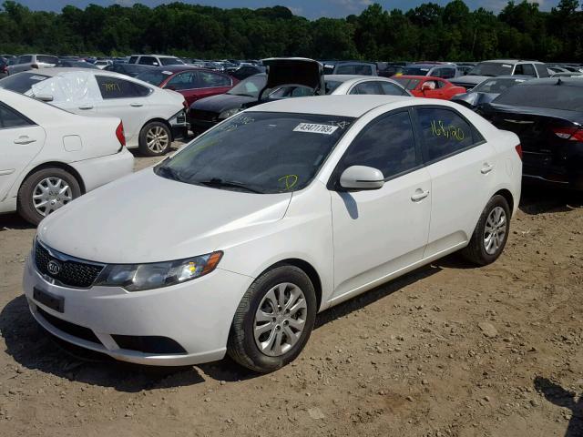 KNAFU4A23C5606029 - 2012 KIA FORTE EX WHITE photo 2