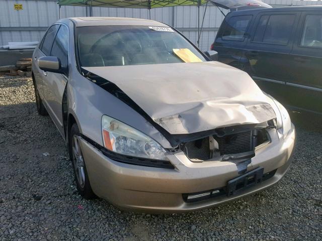 1HGCM66583A044562 - 2003 HONDA ACCORD GOLD photo 1