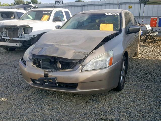 1HGCM66583A044562 - 2003 HONDA ACCORD GOLD photo 2