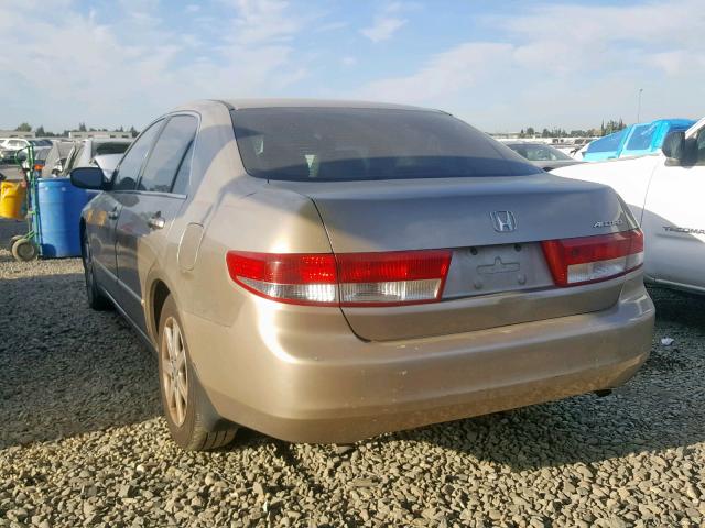 1HGCM66583A044562 - 2003 HONDA ACCORD GOLD photo 3