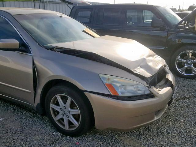 1HGCM66583A044562 - 2003 HONDA ACCORD GOLD photo 9