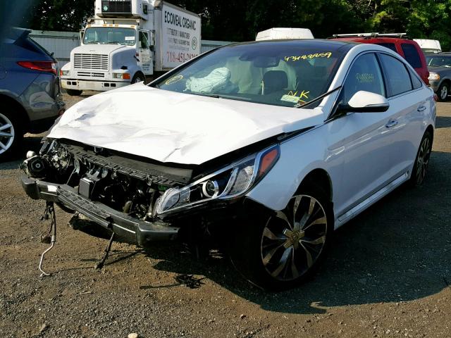 5NPE34AB4FH151634 - 2015 HYUNDAI SONATA SPO WHITE photo 2