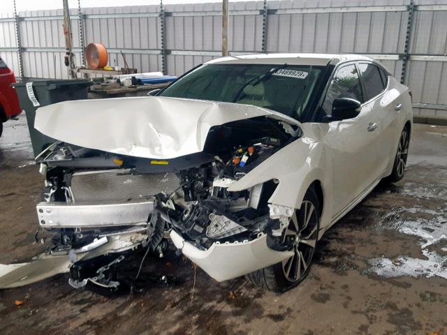 1N4AA6AP9HC383114 - 2017 NISSAN MAXIMA 3.5 WHITE photo 2