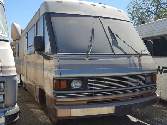 17N530121KW012727 - 1989 WINNEBAGO MOTORHOME TAN photo 1