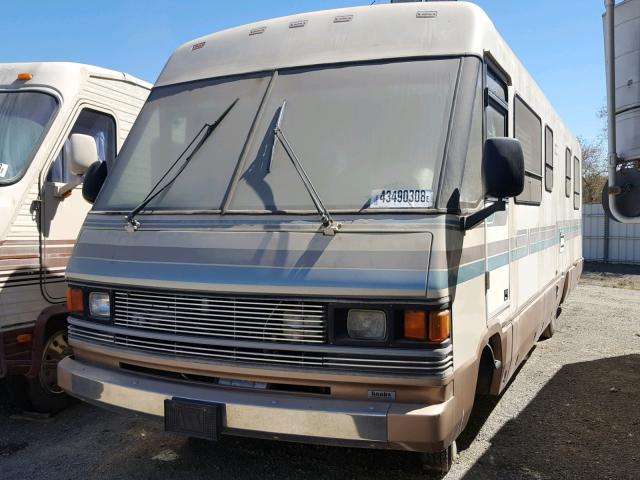 17N530121KW012727 - 1989 WINNEBAGO MOTORHOME TAN photo 2