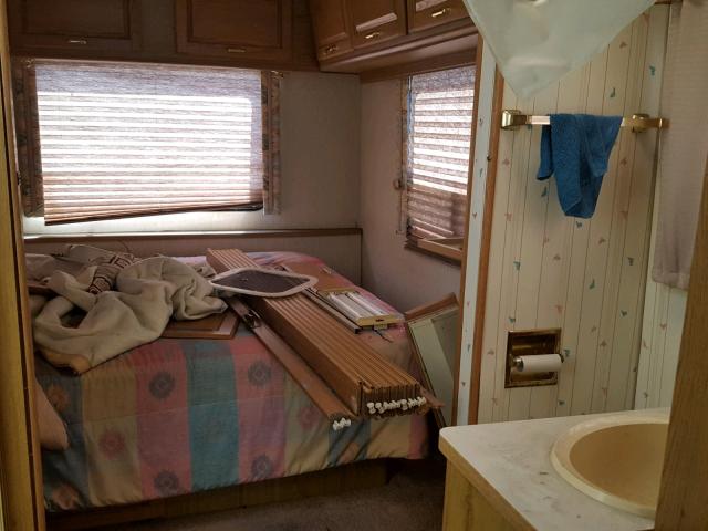 17N530121KW012727 - 1989 WINNEBAGO MOTORHOME TAN photo 6