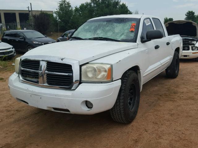 1D7HE48N85S194600 - 2005 DODGE DAKOTA QUA WHITE photo 2