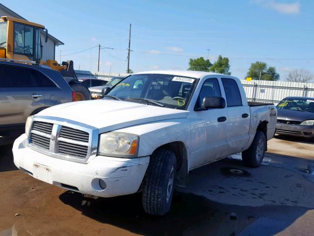 1D7HW48K87S128800 - 2007 DODGE DAKOTA QUA WHITE photo 2