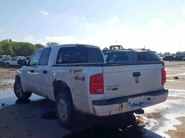 1D7HW48K87S128800 - 2007 DODGE DAKOTA QUA WHITE photo 3