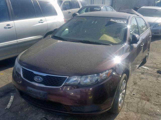 KNAFU4A27B5319307 - 2011 KIA FORTE EX BURGUNDY photo 2