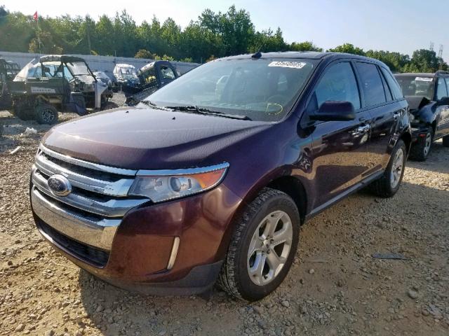 2FMDK3JC4BBB23934 - 2011 FORD EDGE SEL BURGUNDY photo 2