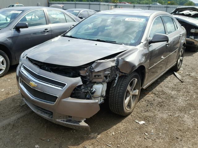 1G1ZC5E1XBF265790 - 2011 CHEVROLET MALIBU 1LT 棕色 照片 2