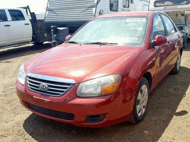 KNAFE222495644460 - 2009 KIA SPECTRA EX RED photo 2