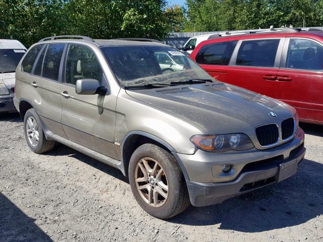 5UXFA13596LY26677 - 2006 BMW X5 3.0I TAN photo 1