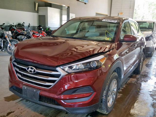 KM8J23A45HU538436 - 2017 HYUNDAI TUCSON SE BURGUNDY photo 2